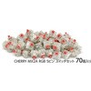 FILCO CHERRY MX2A RGB 5sXCb` ÉԎ 70Zbg FILCOpbP[W NA➑(RGBp)FKSW70CH/MPS-R