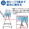 C82-F20 XeXʃX^h obOCRei[p LX^[t GE 36794906