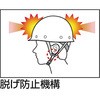 SC-MB KP MP^wbg ~hS 36794956