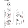 NO1743503001 p^\N[i[pp[c XCf 37162955
