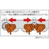 37165633