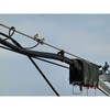 TR-4050CV ケーブルしばり紐 TRUSCO 37312177