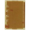 ICB-97-CK2 jo[TDsubRlN^Ή Tng 37594392