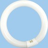 FCL30W/28-B 環形蛍光ランプ  リングライト 日立 37657496