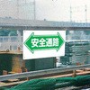 37663367