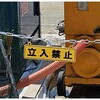 38281026