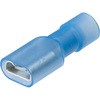- ڑ[q 250` X m^E 38385288
