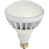 LED交換球 ハイスペックエコビック 20W 日動工業