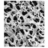 Durapore Membrane， PVDF， Hydrophilic， 0.65 μm white， plain； 3 m roll 1SET Merck(メルクミリポア)