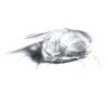 ガラス繊維 104086 1KG Merck(メルクミリポア)
