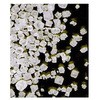 塩化ナトリウム 分析用 エンシュア TM ACS， ISO， Reag. Ph Eur 106404 1KG Merck(メルクミリポア)