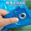 38892587