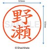 XL-9 1613 mZ l[9 (m) V`n^ 38932022