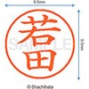 XL-9 1991 J_ l[9 () V`n^ 38938742