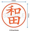 XL-9 1999 _ l[9 () V`n^ 38938907
