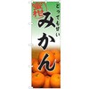 ̂ڂ ݂
