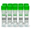 1725271B05 SsoAdvanced Universal SYBR Green Supermix BIORAD 39099349
