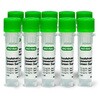 1725271B10 SsoAdvanced Universal SYBR Green Supermix BIORAD 39099358