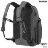 NTTPHLCH Entity [eBeB|[` MAXPEDITION 39210868