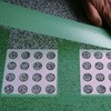 39253496