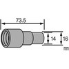 39263036