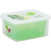 59529 UtD-PACK TR[vX`bN 39397235