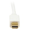 MDP2DVIMM6W Mini DisplayPort - DVI変換ケーブル 1．8m ホワイト Mini DP(オス) - DVI - D(オス) 1920x1200 StarTech.com 39433958