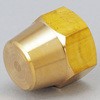 FN-0008 フレアーキャップ アソー 39436363