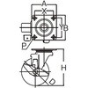 39560254,39560281