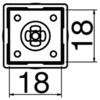 39620036