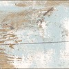 WBF-459 �E�b�h���C�� F�T�C�Y �^�W�}(�c�����[�t�B���O) 39847256