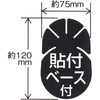 40179894