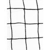 40223646