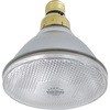 電球 10W
