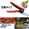 EGLP-3 nLk} E-Value 40248871