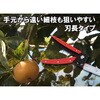 EGLP-3 nLk} E-Value 40248871