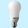 EFA25ED/21-R ネオボールZ A形 100ワットタイプ 東芝ライテック 40249842