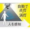 LED-AC315 7.5W~2LEDZT[Cg CebNX(TV) 40273565