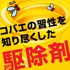- 業務用コバエがホイホイ アース製薬 40297006