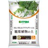 ハイポネックス 観葉植物の土