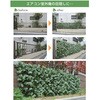 LLE-12H(FG) リーフラティス 約100×200cm ウッドフェンスタイプ YAMAZEN(山善) 40410772
