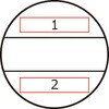 40549855