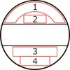 40550038