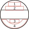40550038