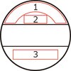 40550117