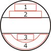 40550117