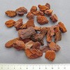 BC-02 WILD BARK ~^j 40560258