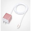 QL-027PG Lightningコネクタ対応ストロング2.4A出力ACアダプタ クオリティトラストジャパン 40608235