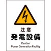 40703846