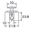 41024261